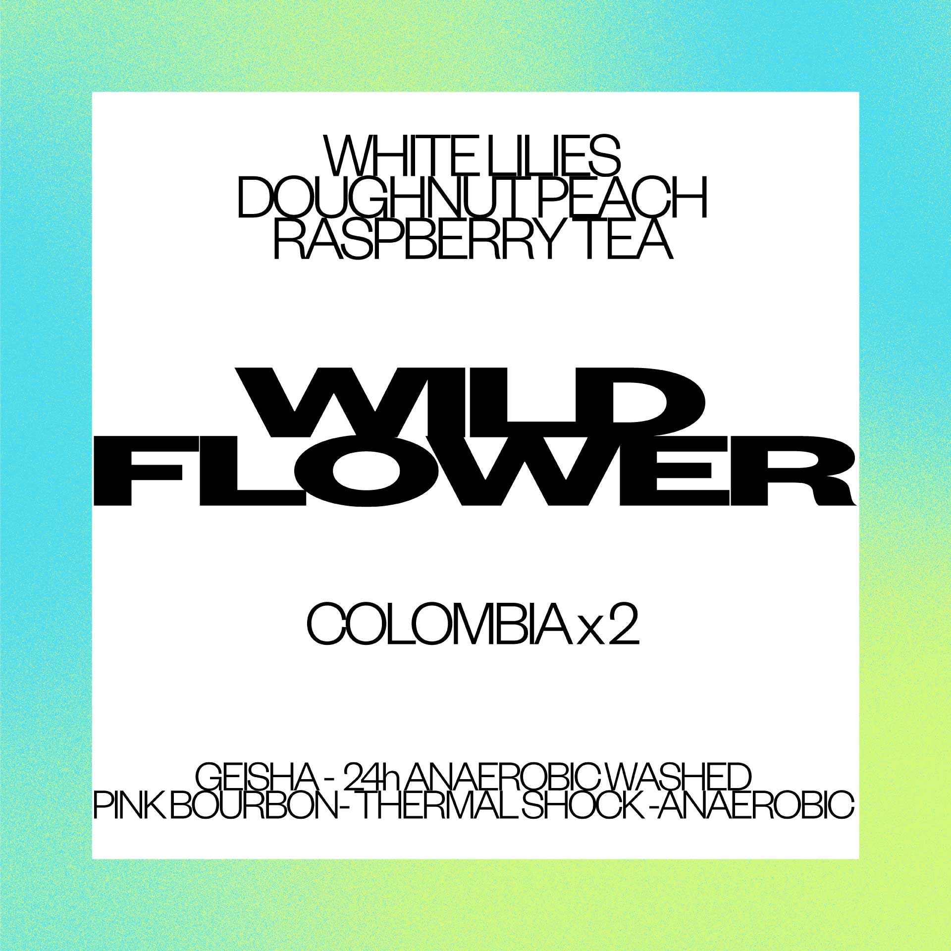 WILD FLOWER